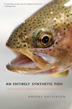 An Entirely Synthetic Fish