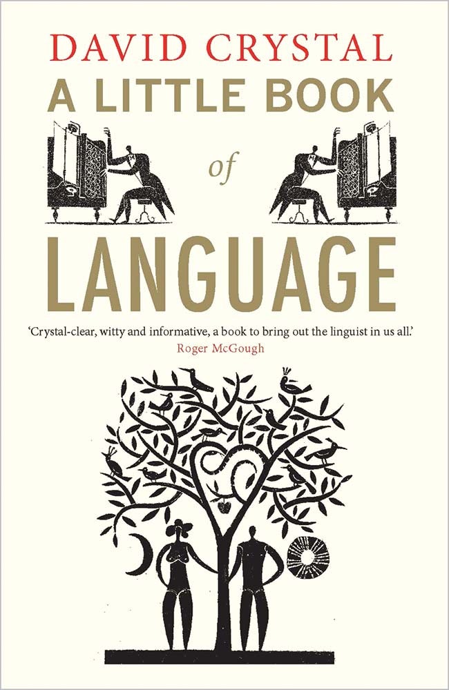 希少　Language of Fiction David Lodge 洋書 Language of fiction : essays in criticism and verbal analysis of