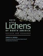 Keys to Lichens of North America