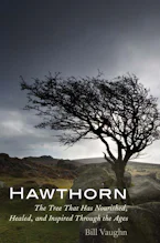 Hawthorn