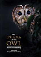 The Enigma of the Owl