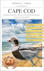 A Field Guide to Cape Cod