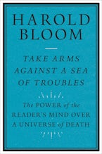 Take Arms Against a Sea of Troubles