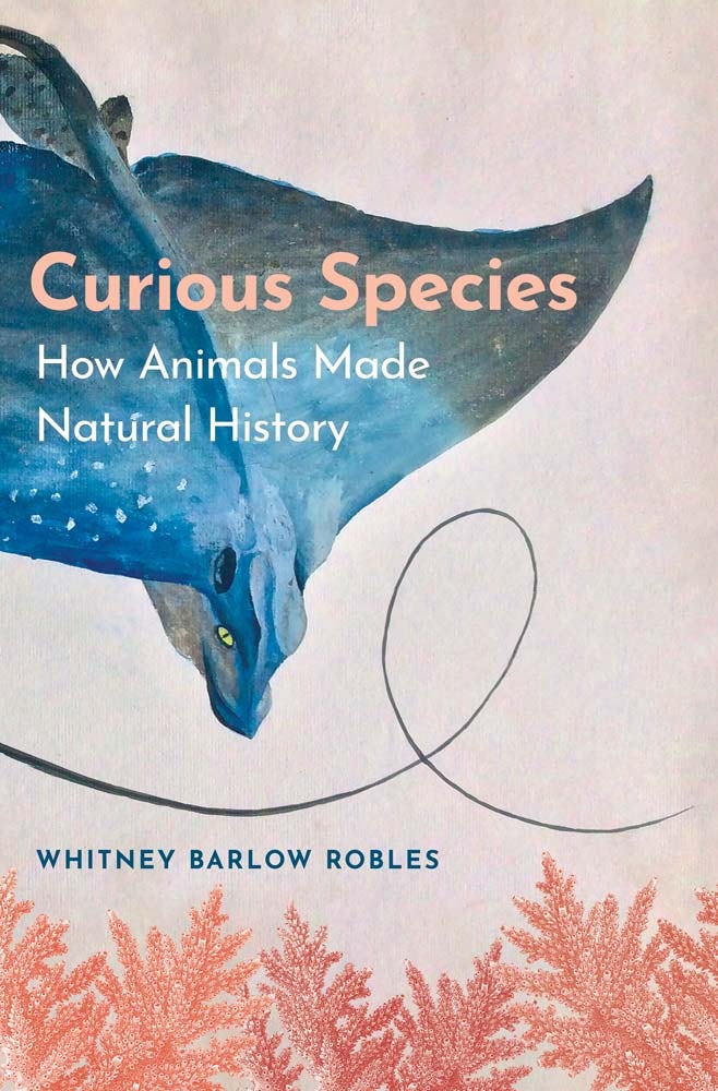 Doctor Dolittle's Delusion