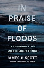 In Praise of Floods