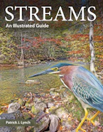 Cover of 'Streams' by Patrick J. Lynch 