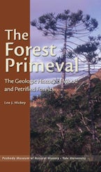The Forest Primeval