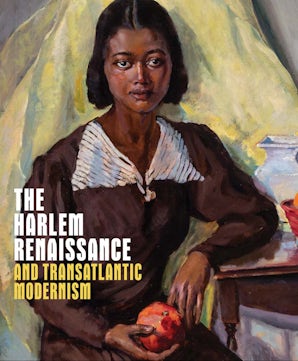 Harlem Renaissance Series