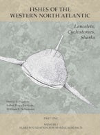 Lancelets, Cyclostomes, Sharks